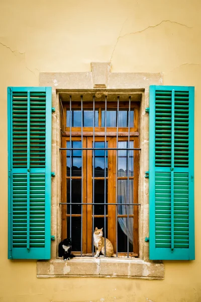 Katten Zittend Vensterbank Van Een Mediterraan Huis — Stockfoto