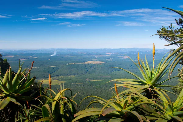 Landscape Scenery Panorama Route South Africa View Nature Valley Travel — Stock Photo, Image