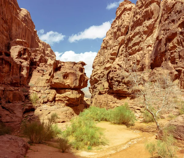Ortadoğu, Ürdün 'de Wadi Rum' da korunan bir kanyonun girişi. Seyahat, turizm ve doğa