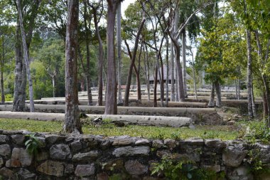 Las Terrazas, Küba, Şubat 2011: Buena Vista Kahve Evi eski kahve çiftliği, Las Terrazas Doğa Parkı, Küba