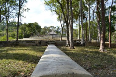 Las Terrazas, Küba, Şubat 2011: Buena Vista Kahve Evi eski kahve çiftliği, Las Terrazas Doğa Parkı, Küba