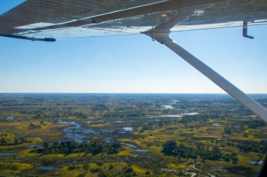Botswana, Afrika 'daki Moremi ulusal parkında küçük bir uçaktan görüldüğü gibi hava görüntüsü. Kanat görünür, mavi gökyüzünde parlak güneş ışığı. Seyahat ve Turizm
