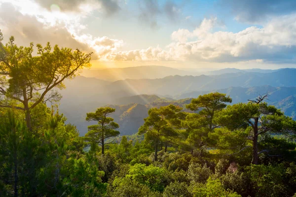 Troodos dağlarındaki Pano Platres, Kıbrıs. Seyahat ve turizm.