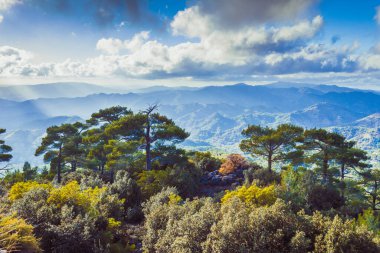 Troodos dağlarındaki Pano Platres, Kıbrıs. Seyahat ve turizm.