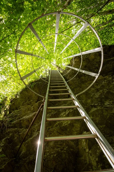 Korunaklı Bir Merdivene Tırmanmak Kayalara Karşı Tırabzanlar Ağaçlara Güneş Işığına — Stok fotoğraf