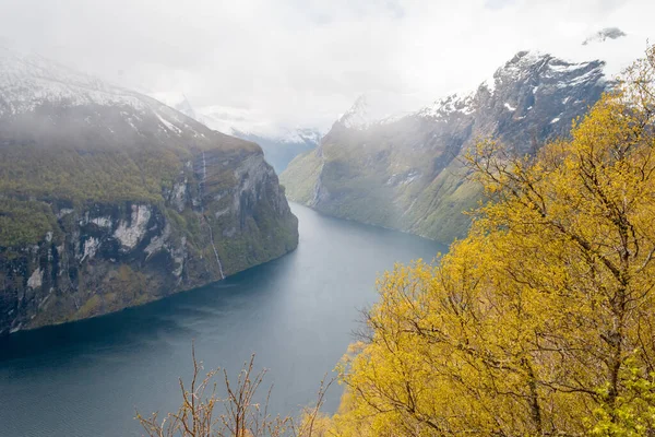 Ver Geiranger Fjord Noruega Paisaje Naturaleza Viajes Turismo Belleza Naturaleza — Foto de Stock