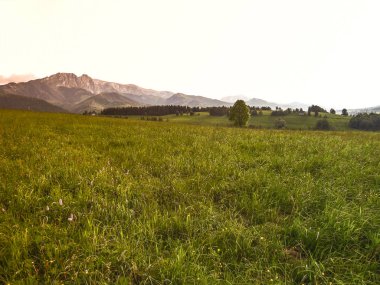 Güzel bahar doğa. Temiz hava, nazik dağlar, sıcak güneş ışınlarının.