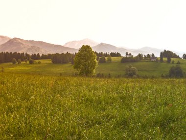 Güzel bahar doğa. Temiz hava, nazik dağlar, sıcak güneş ışınlarının.