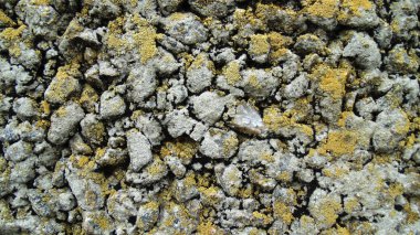 Soyut sarı duvar arka plan. Duvar doku. Betonarme döşeme arka plan