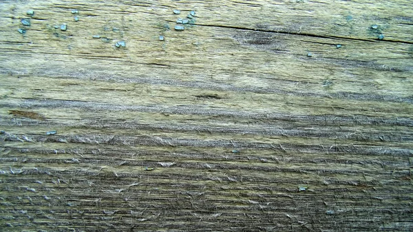 抽象的な古い亀裂木製テクスチャです ツリーの背景 — ストック写真