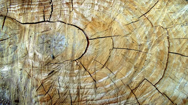 Texture Abstraite Bois Ancienne Fissure Art Nature Fond Fortes Origines — Photo