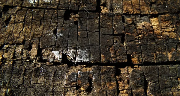 Soyut Eski Siyah Çatlamak Ağaç Ahşap Doku Ahşap Arka Plan — Stok fotoğraf