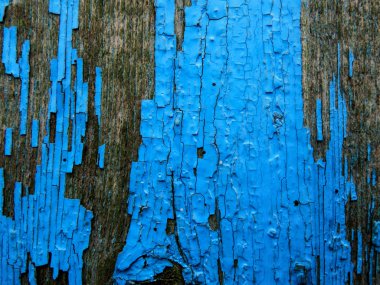 Ahşap tahta eski mavi boya. Arka plan