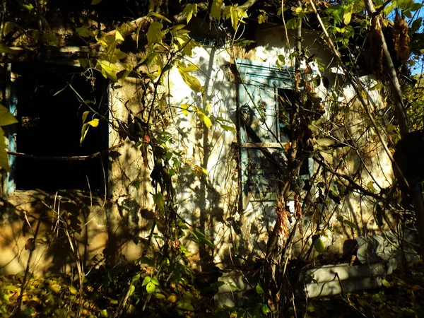 Antigo Fundo Casa Esquecido Textura Construção Casa Floresta — Fotografia de Stock