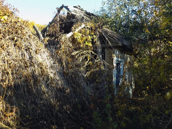 Antigo Fundo Casa Esquecido Textura Construção Casa Floresta — Fotografia de Stock