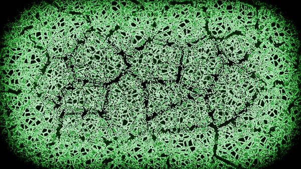 Abstract green cracked background. Art lines texture. Cracked texture wallpaper