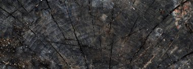 Esmer, eski, çatlamış ahşap bir doku. Soyut ağaç kesimi arkaplanı. Eski kütük arkaplanı