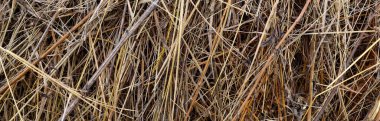 Doğal kırsal zemin. Hayrick dokusu. Hasır ararkaplan