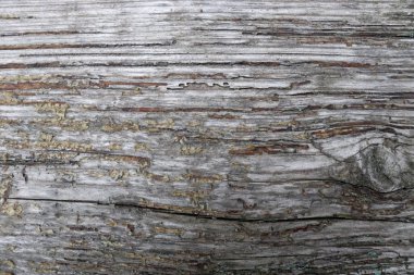 Güzel, eski, çatlamış tahta tahtalar. Soyut ağaç arkaplanı. Eski arkaplan