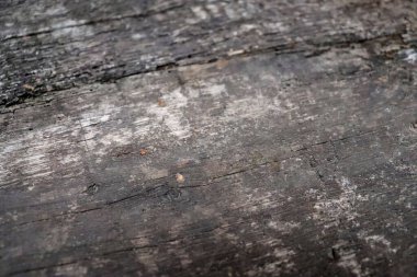 Soyut eski ahşap doku. Güzel gri tahta arkaplanı