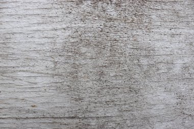 Güzel soyut ahşap çatlamış doku. Eski çizik ahşap arka plan