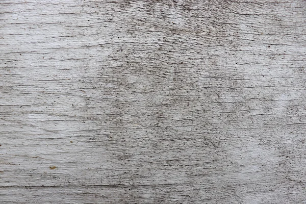 아름다운 추상적 나무의 갈라진 — 스톡 사진