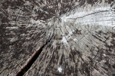 Eski çatlamış ve çizilmiş ahşap doku. Soyut tahta arkaplan