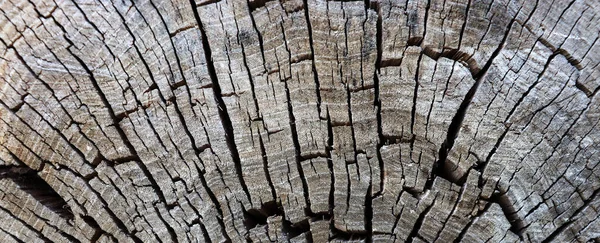 灰色の木の質感にクラックとスクラッチ アブストラクト木切株の背景 — ストック写真