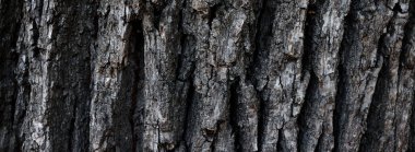 Soyut eski koyu ağaç kabuğu arkaplanı. Doğal afiş konsepti. Ahşap doku