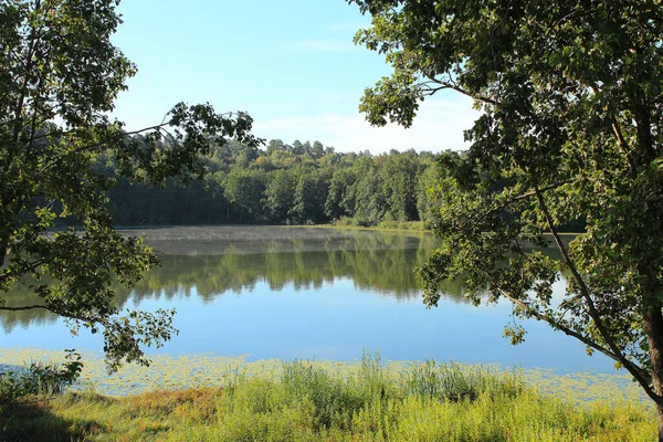 Gölün ve ormanın güzel yaz manzarası