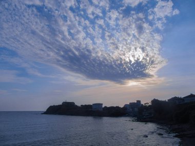 Yakın çekim portre bir kedi kaplan desen ve yeşil gözleri ile. 