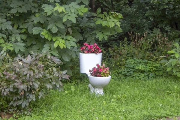 Una Vecchia Tazza Del Water Decorata Come Vaso Con Fiori Immagine Stock