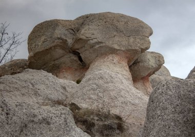 Fil, doğal dönüm noktası 