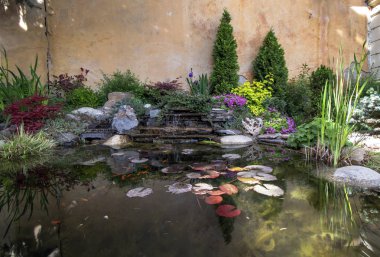 Japon balığı ile bir göl üzerinde farklı çiçekler ve çalılar ile Rockery.