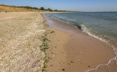 Bulgaristan 'ın Kuzey Karadeniz kıyısındaki Durankulak kentine doğru devasa Krapets plajındaki manzara.