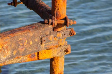 Pas kaplı demir bir elementin deniz zeminine yakın çekim.