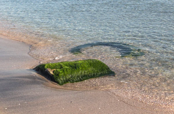 Чиста Вода Пляжі Велика Кам Яна Накидка Водорості Чорне Море — стокове фото