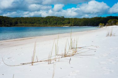 Mackenzie Gölü, Fraser Adası