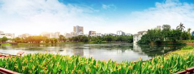 Güzel bahar, park lakeside bitkiler, Haikou, Çin.