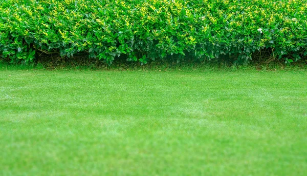 新鮮な刈った芝生と美しい庭園 — ストック写真