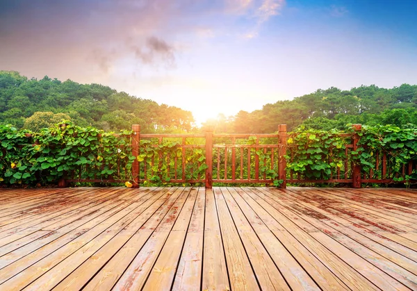 Tres Plataforma Madera Vegetación Distante — Foto de Stock