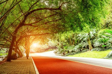 Yemyeşil tropikal ağaçlar arasında orada güzel kırmızı yaya parkurları.
