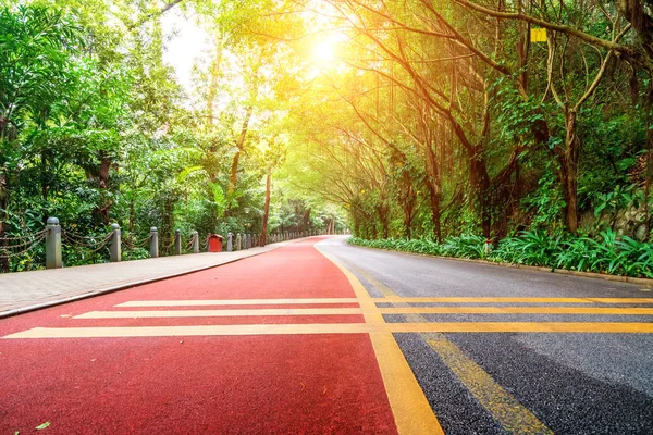 Lush Tropical Trees Beautiful Red Pedestrian Trails — Stock Photo, Image