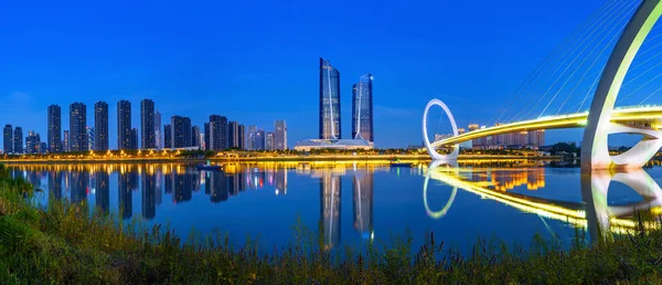 Kina Nanjing Stadens Silhuett Och Moderna Byggnader Nattlandskap — Stockfoto