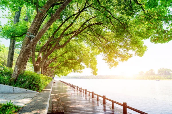 Nanjing Xuanwu Lake Houten Plank Weg Aan Het Meer — Stockfoto