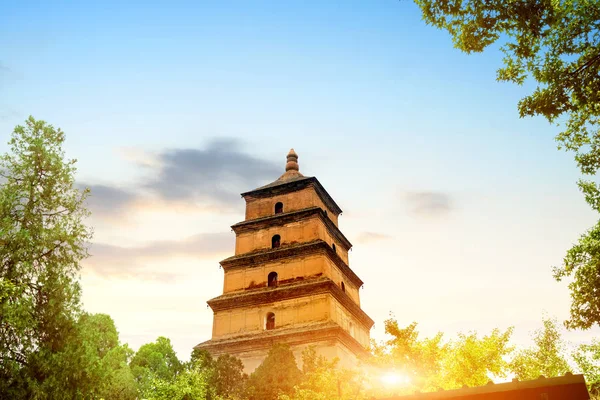 Reuze Wild Goose Pagoda Ochtend China — Stockfoto