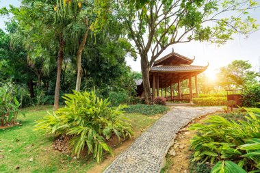 Tropikal park bitki ve ahşap binalar