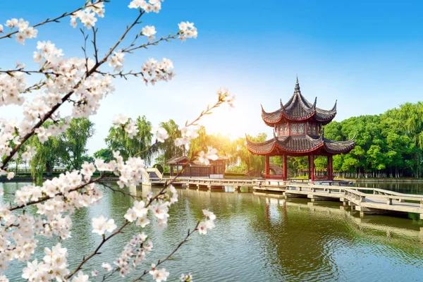 中国传统建筑 花园中常见的九弯桥 — 图库照片