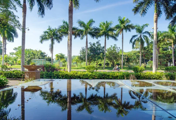 Palmen Und Straße Auf Tropischer Insel — Stockfoto