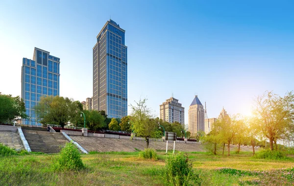 Lawn Modern Architecture — Stock Photo, Image